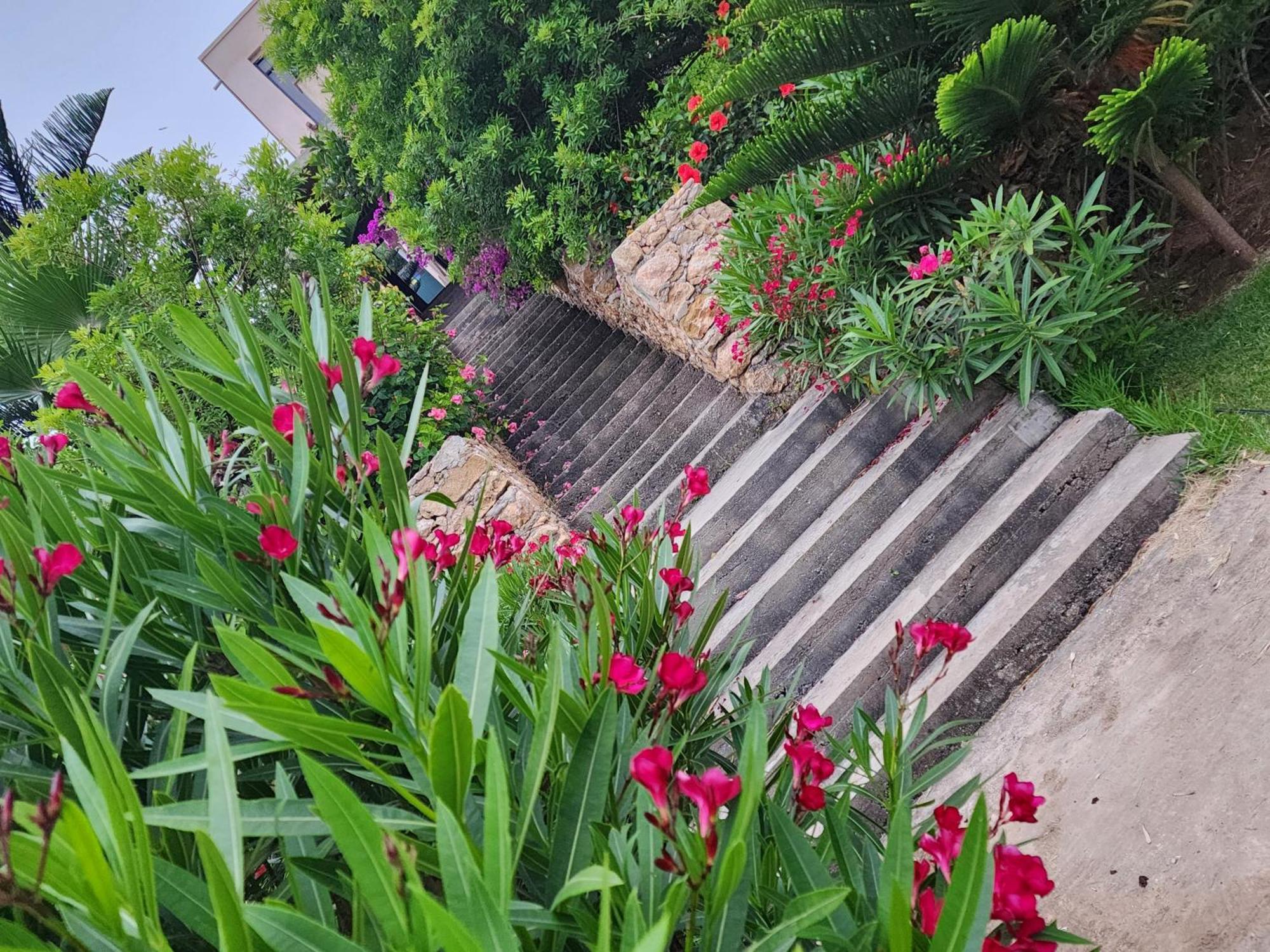 La Villa Joubert الوالدية المظهر الخارجي الصورة